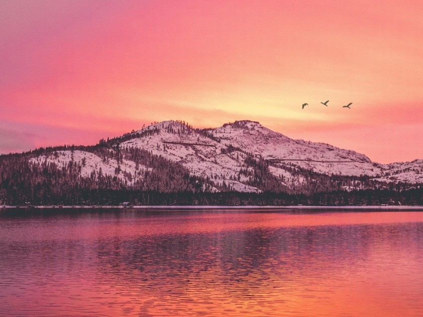 mountains lake sunset horizon birds Transparent PNG vectors