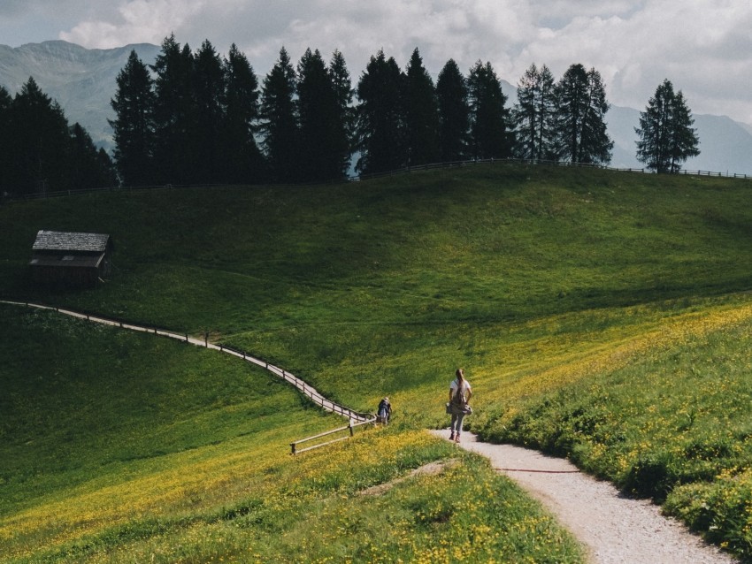 mountains meadow path hills trees landscape PNG with Isolated Object