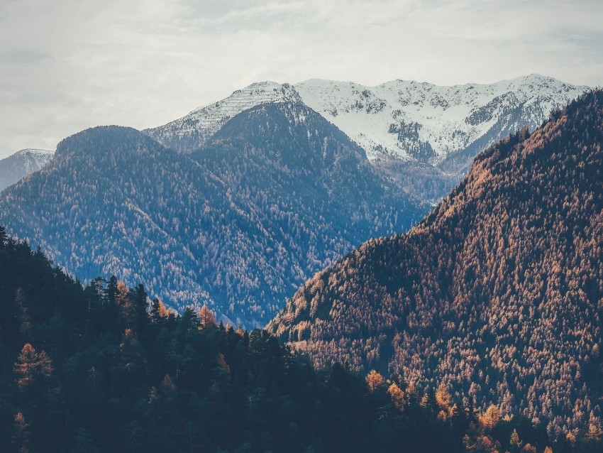 mountains peaks autumn snowy trees sky PNG images with clear background 4k wallpaper