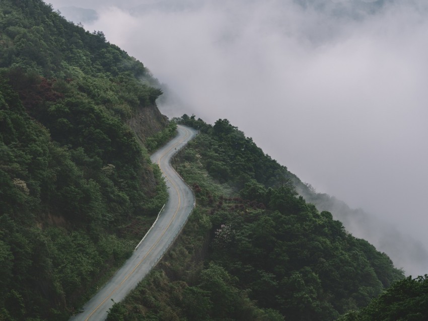 mountains road fog forest slope height HighResolution Transparent PNG Isolated Item