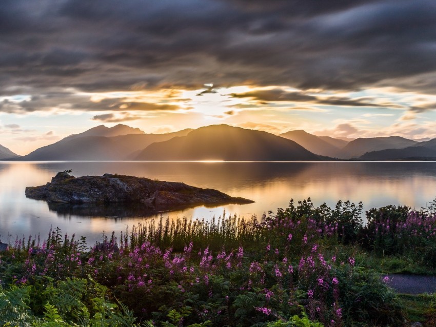 mountains sea flowers sunset sky Isolated Artwork in Transparent PNG 4k wallpaper