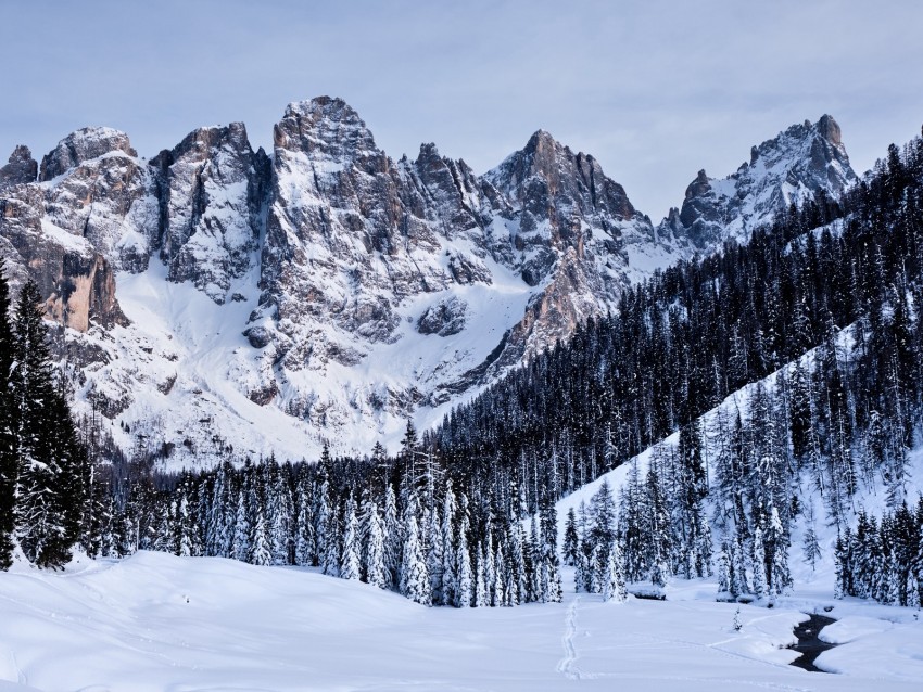 mountains snow snowy trees winter italy PNG transparent photos library 4k wallpaper