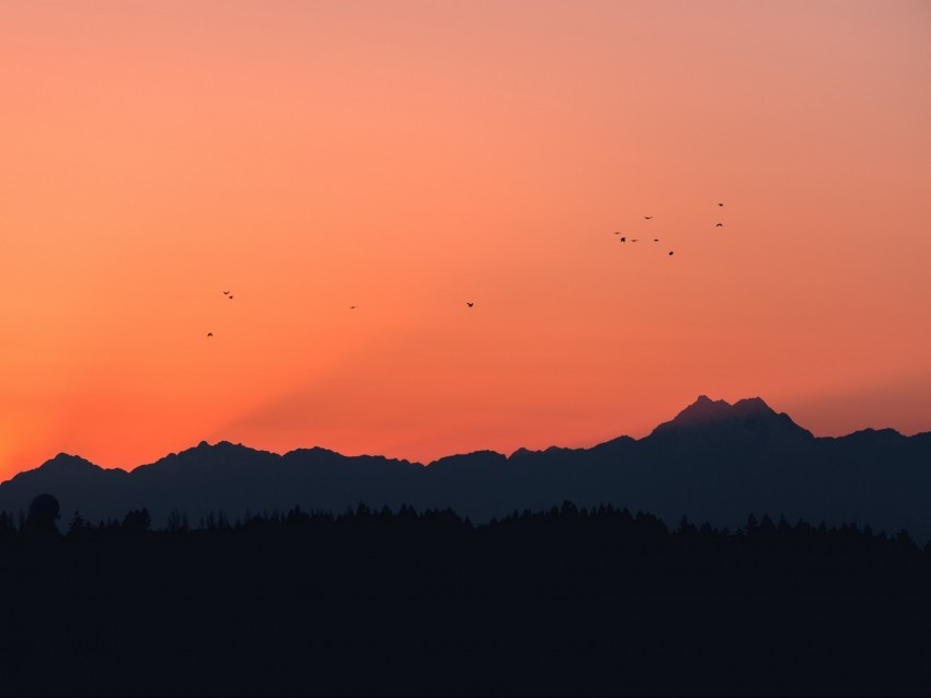 mountains sunset outlines birds Isolated Subject in HighResolution PNG 4k wallpaper