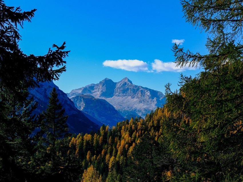 mountains trees branches overview autumn landscape Clean Background Isolated PNG Design