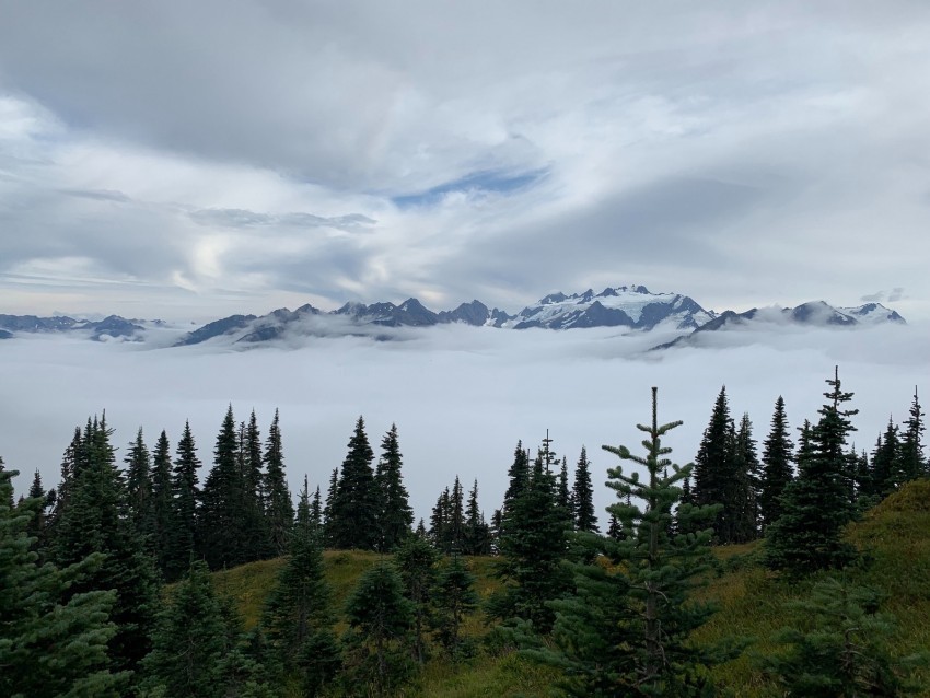 mountains trees fog clouds landscape PNG transparent design diverse assortment