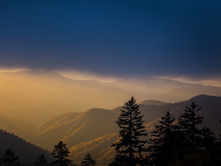 mountains trees fog clouds tops High-quality transparent PNG images 4k wallpaper