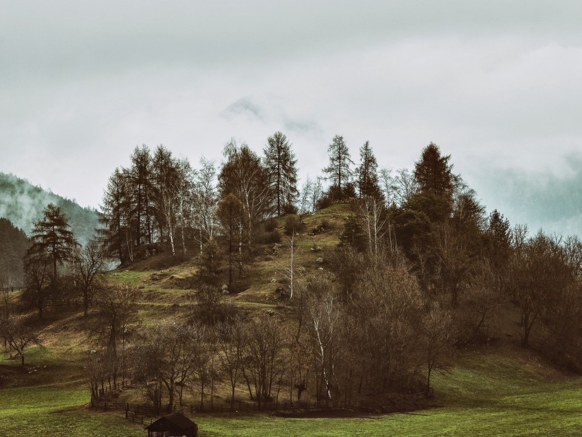 mountains trees hilly relief fog Isolated Item on Clear Transparent PNG