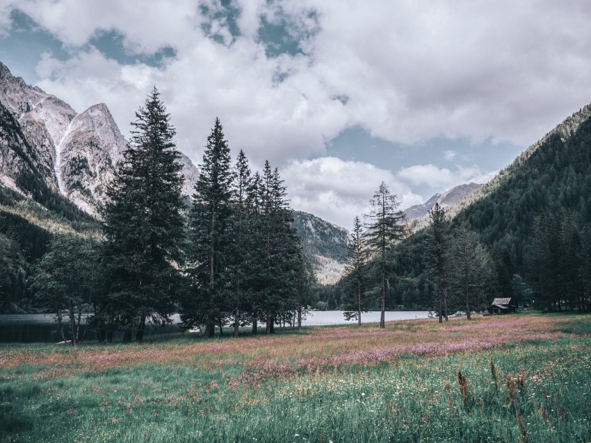 mountains trees landscape italy Isolated Item with Clear Background PNG