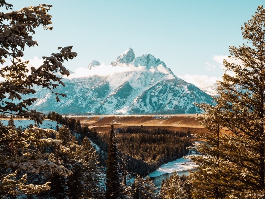 mountains trees peaks branches landscape Isolated Subject in Clear Transparent PNG 4k wallpaper