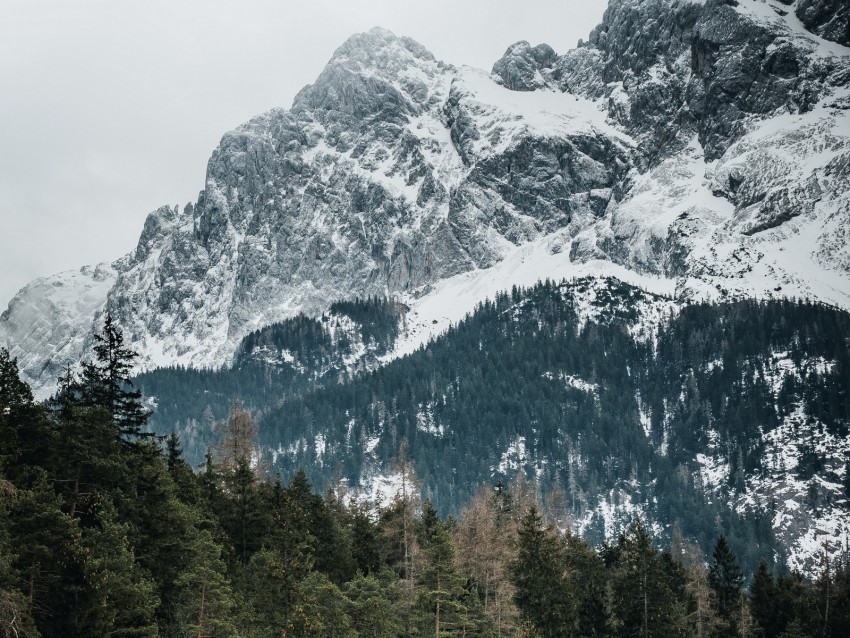 mountains trees peaks snowy germany PNG without background 4k wallpaper