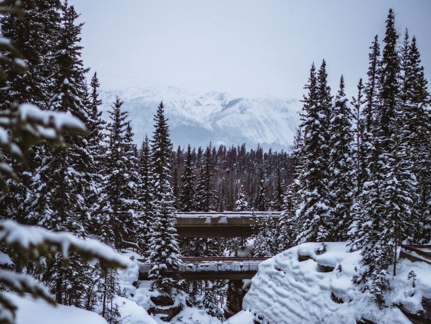 mountains trees snow winter landscape Transparent PNG download 4k wallpaper