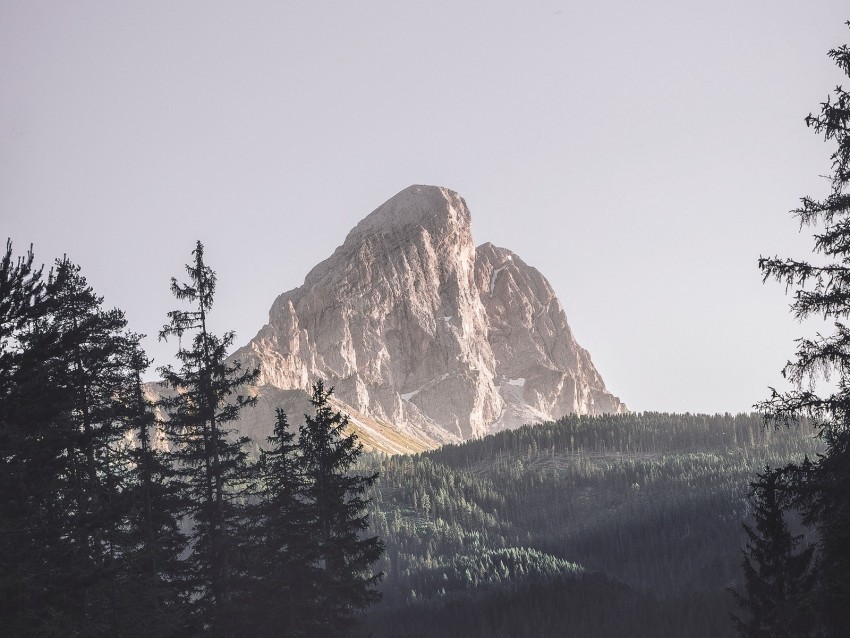 mountains trees top forest landscape Isolated Character in Clear Background PNG