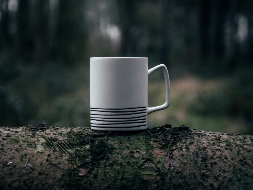 mug steam macro blur moss PNG images with no fees 4k wallpaper