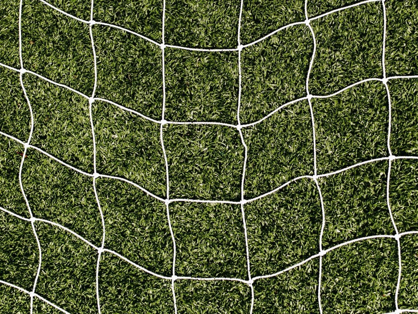 net grass lawn texture Free PNG images with transparent layers