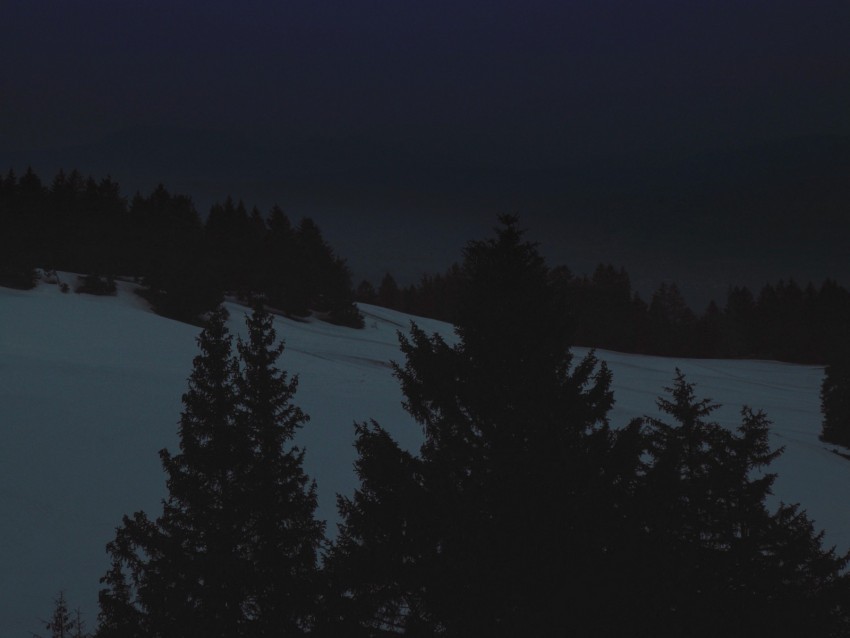 night landscape winter moon trees dark Clear background PNGs