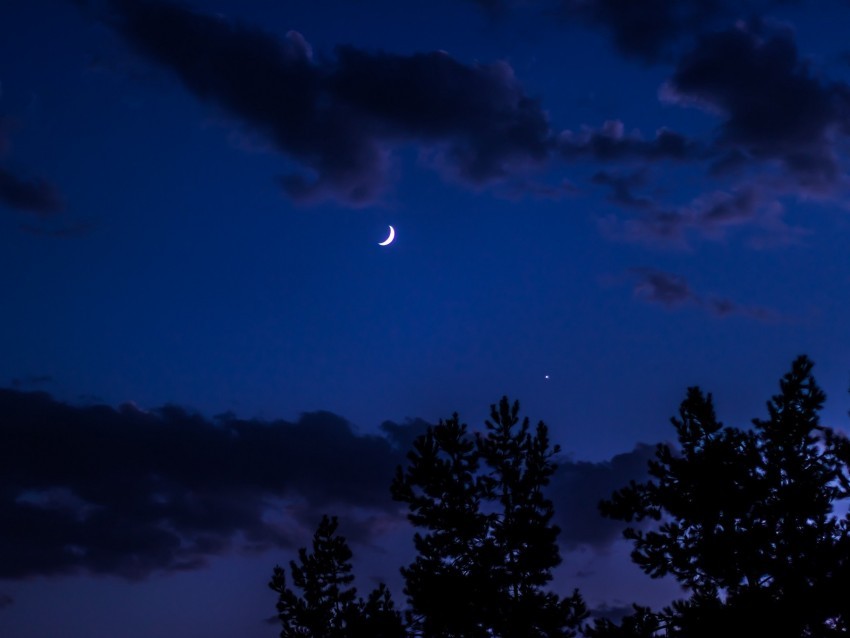 night moon sky clouds trees Free download PNG images with alpha channel 4k wallpaper