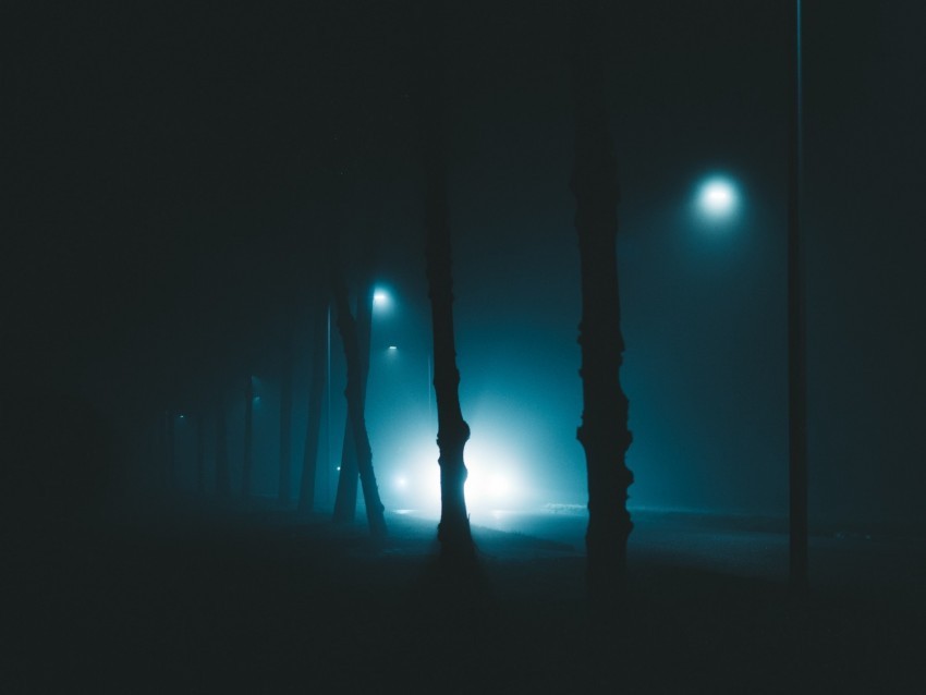 night trees fog lights light gloomy enveloping PNG files with no royalties 4k wallpaper