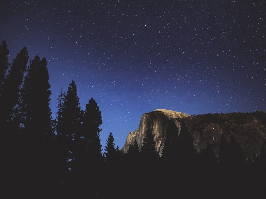 night trees mountains stars forest PNG files with clear background collection