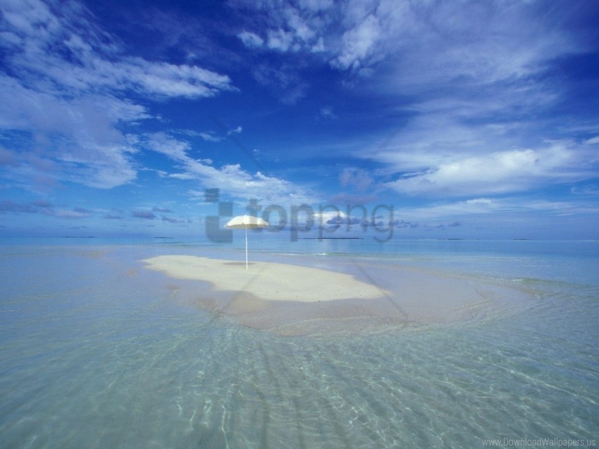 oasis tropical wallpaper PNG for business use