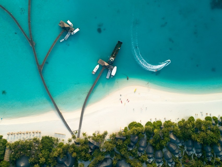 ocean aerial view coast bungalow palm trees Isolated Graphic in Transparent PNG Format