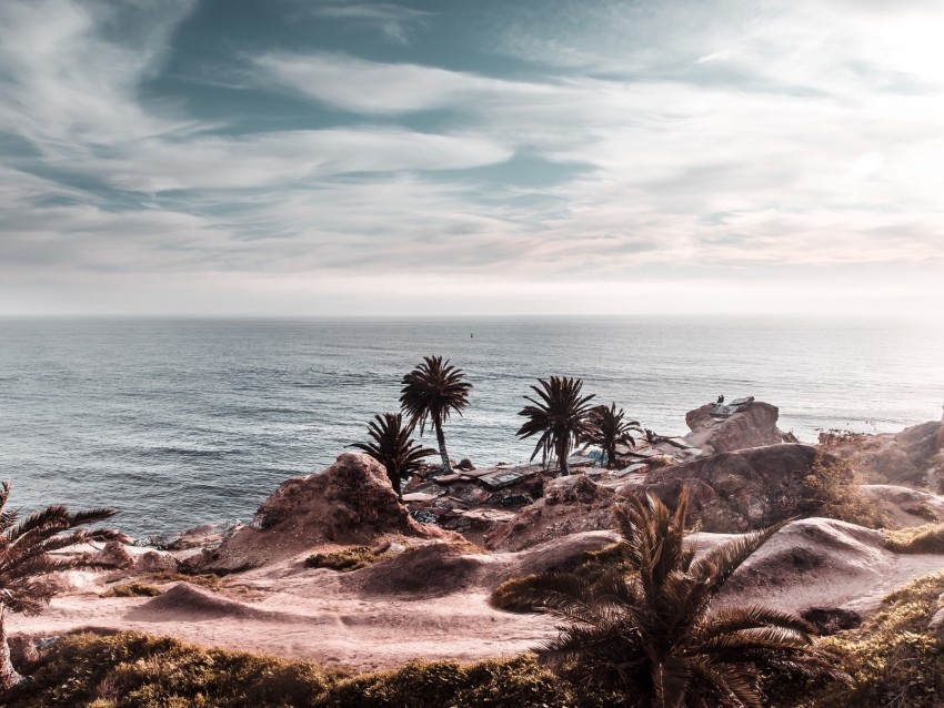 ocean coast palm trees cliff rocky horizon PNG art 4k wallpaper