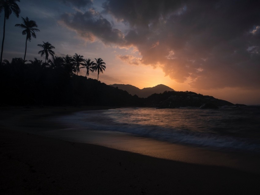 ocean palm trees sunset shore night tropics PNG Isolated Object with Clear Transparency 4k wallpaper