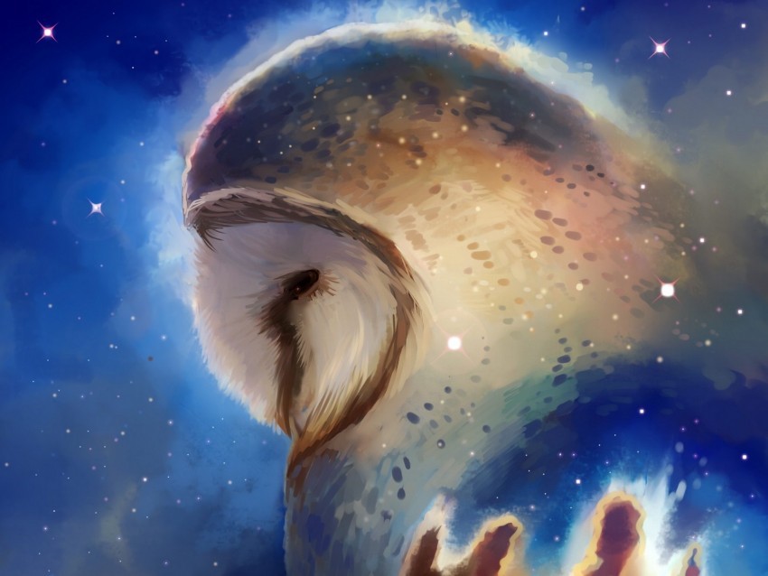 owl space art bird stars Isolated Item on HighResolution Transparent PNG