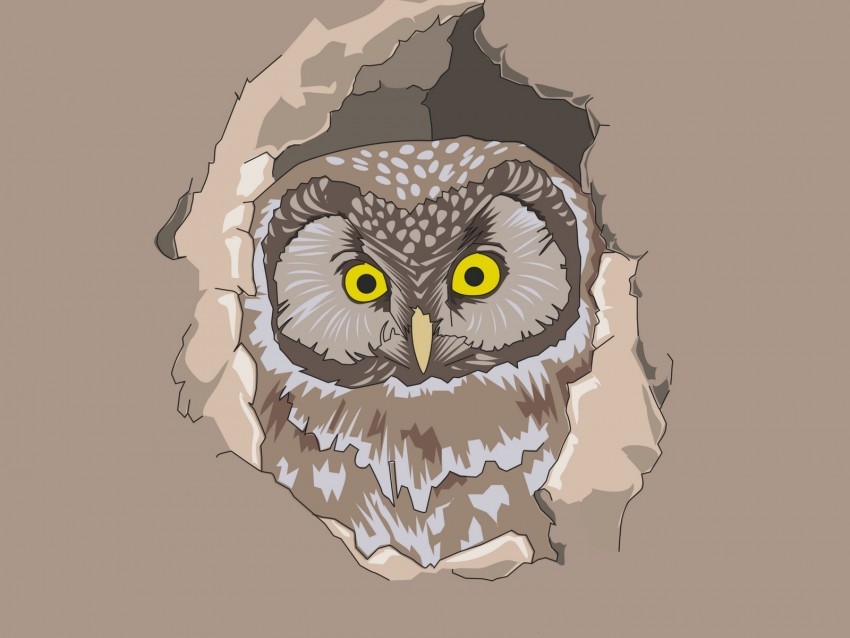 owl spy out vector art Transparent background PNG images selection