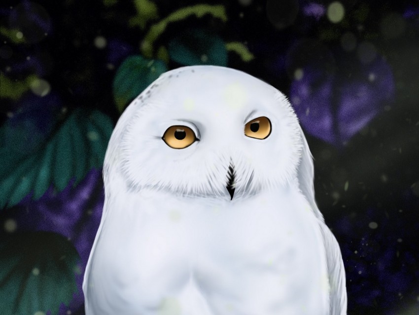 owl white bird art PNG transparent photos comprehensive compilation