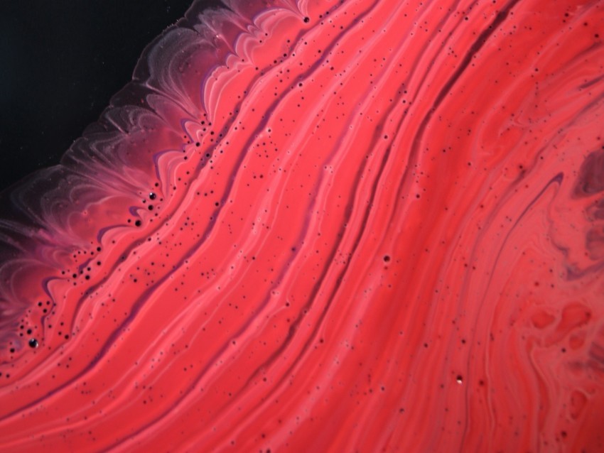 paint stains spots macro acrylic red PNG transparent vectors
