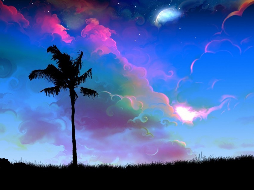 palm tree art twilight night PNG files with alpha channel assortment 4k wallpaper