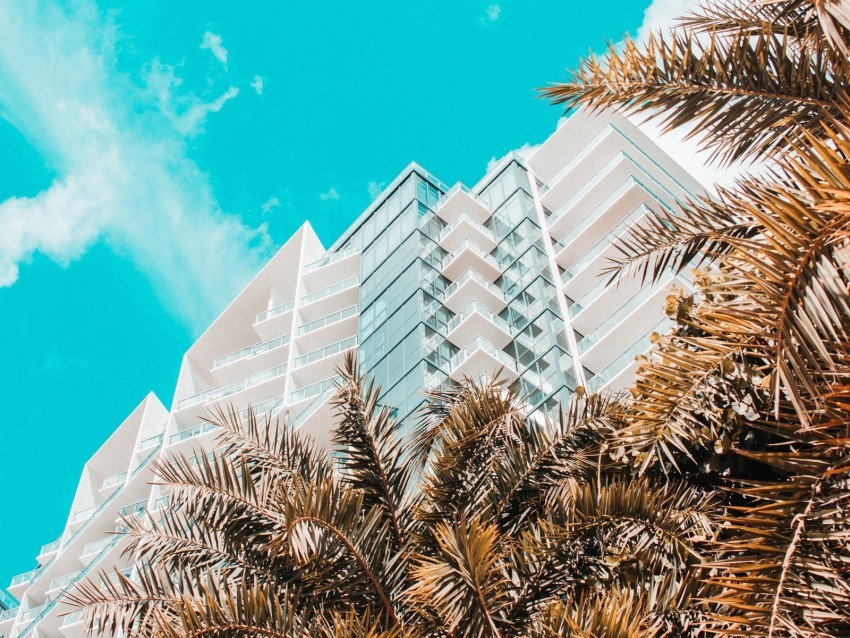 palm trees building tropics sky bottom view Clean Background Isolated PNG Image