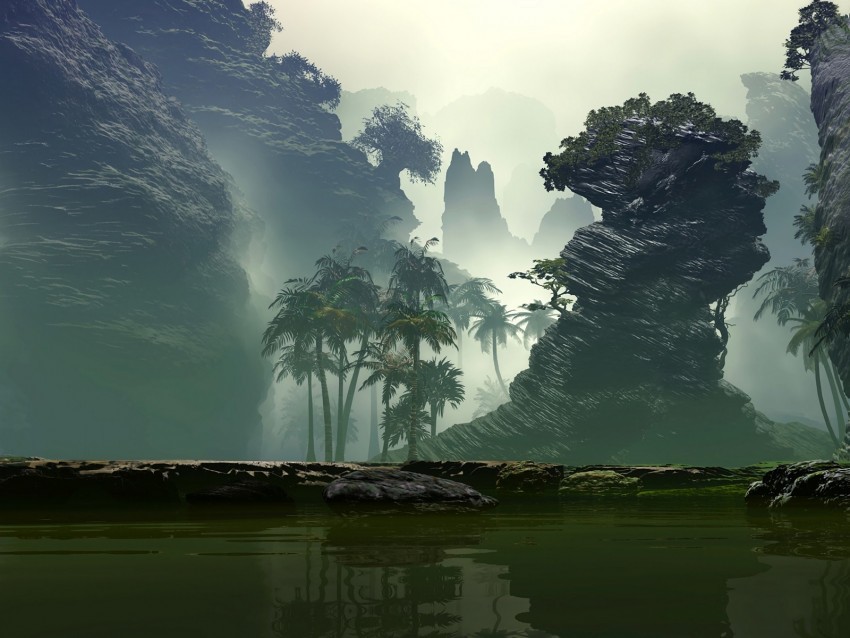 palm trees fog art lake rocks PNG images without licensing