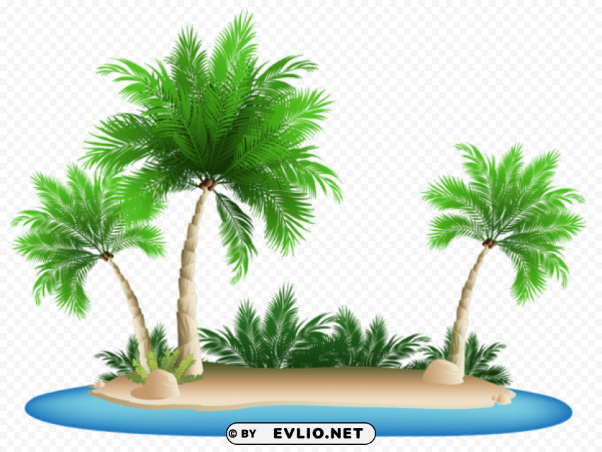 palm trees islandpicture PNG files with clear background