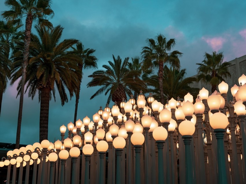 palm trees lights sky twilight clouds PNG for design