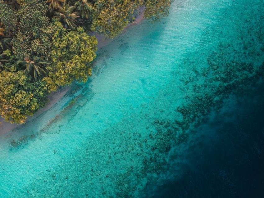 palm trees ocean aerial view tropics water Transparent PNG Isolated Graphic Design