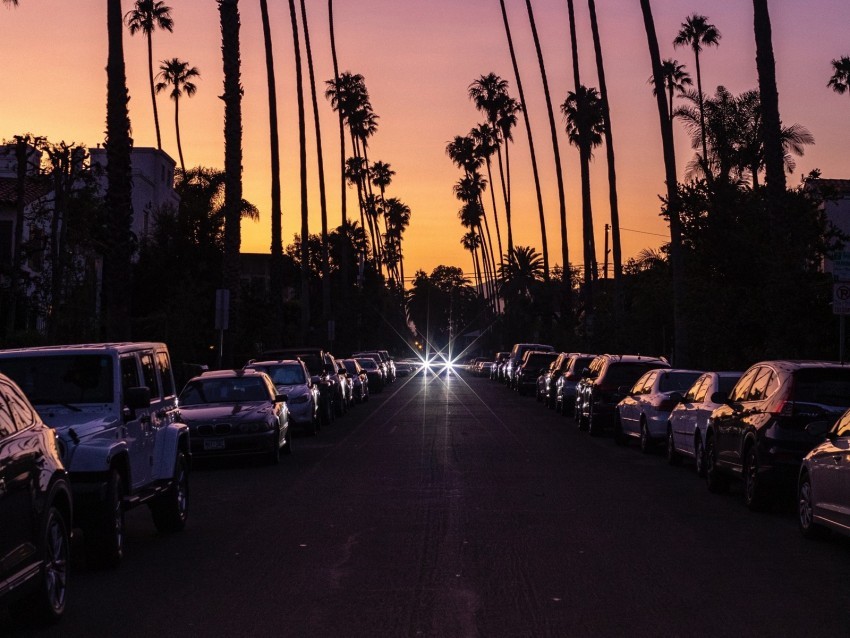 palm trees twilight street road cars PNG with Clear Isolation on Transparent Background