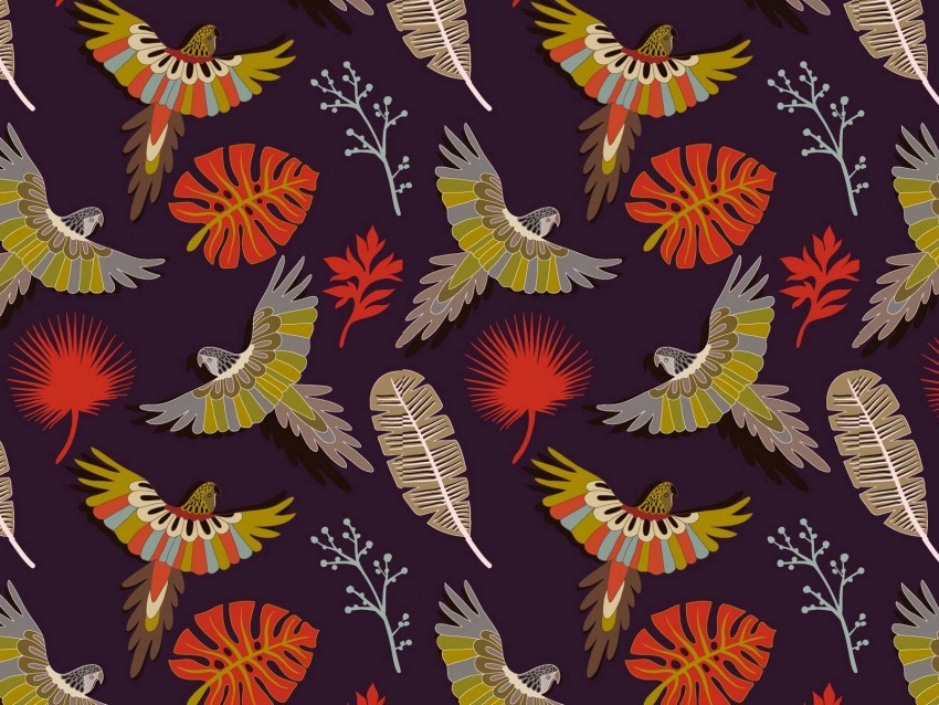 parrots birds feathers colorful vector pattern Isolated Element on HighQuality Transparent PNG 4k wallpaper