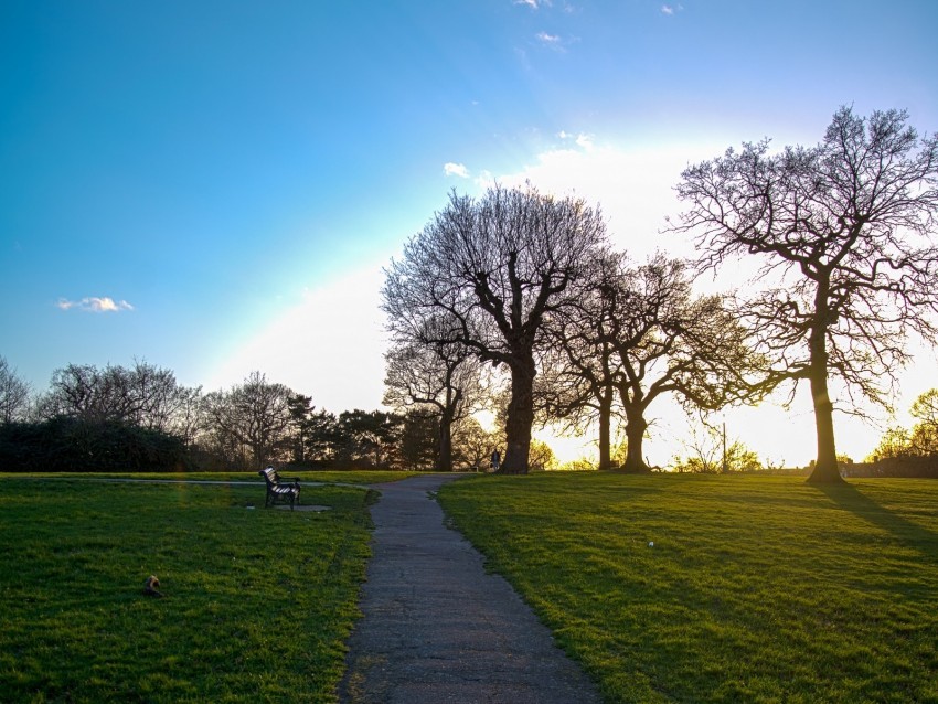 path trees walk bench silence High-resolution transparent PNG images
