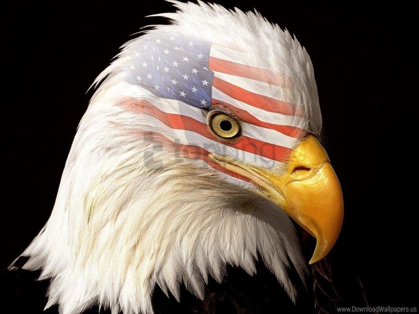 Patriot Wallpaper PNG Artwork With Transparency