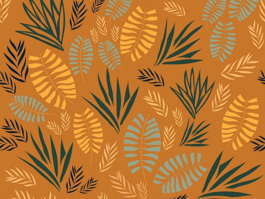 pattern grass branches leaves fern Free transparent background PNG