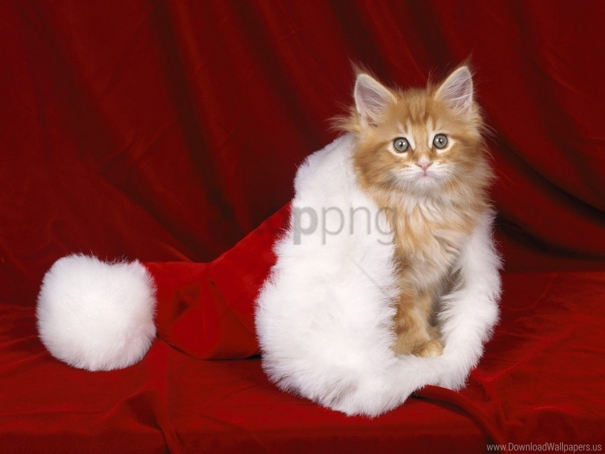 paws santa wallpaper PNG files with alpha channel assortment
