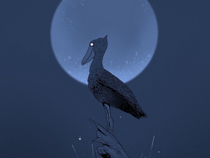 pelican stump night moon bird art Transparent PNG graphics complete collection