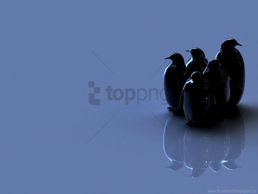 penguins reflection shine toys wallpaper PNG files with no backdrop required