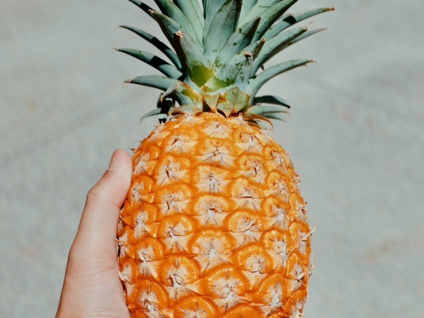 pineapple fruit hand tropical Clean Background Isolated PNG Graphic