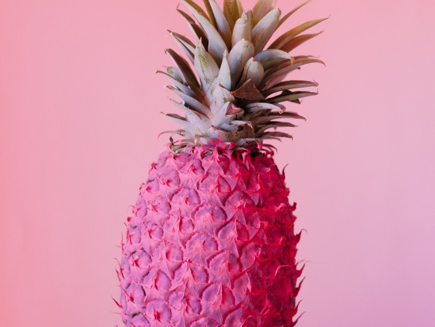 pineapple fruit pink paint tropical Clear Background Isolated PNG Object
