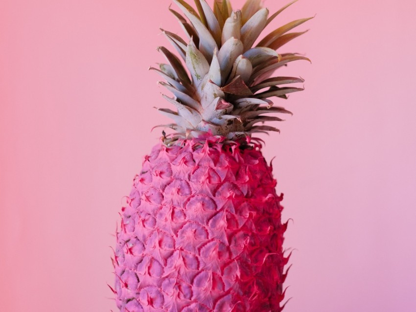 pineapple fruit pink paint tropical Clear Background Isolated PNG Object 4k wallpaper