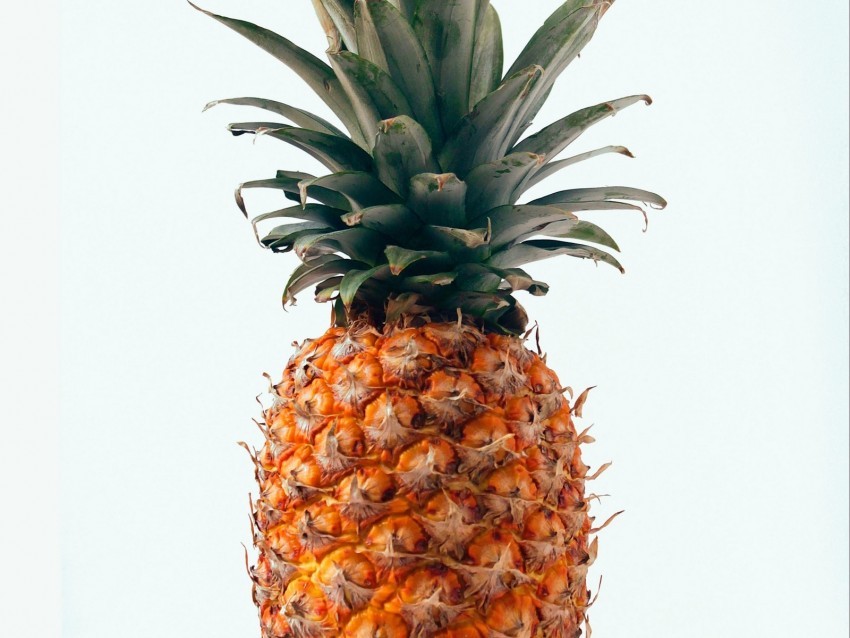 pineapple fruit tropical minimalism PNG transparent pictures for projects