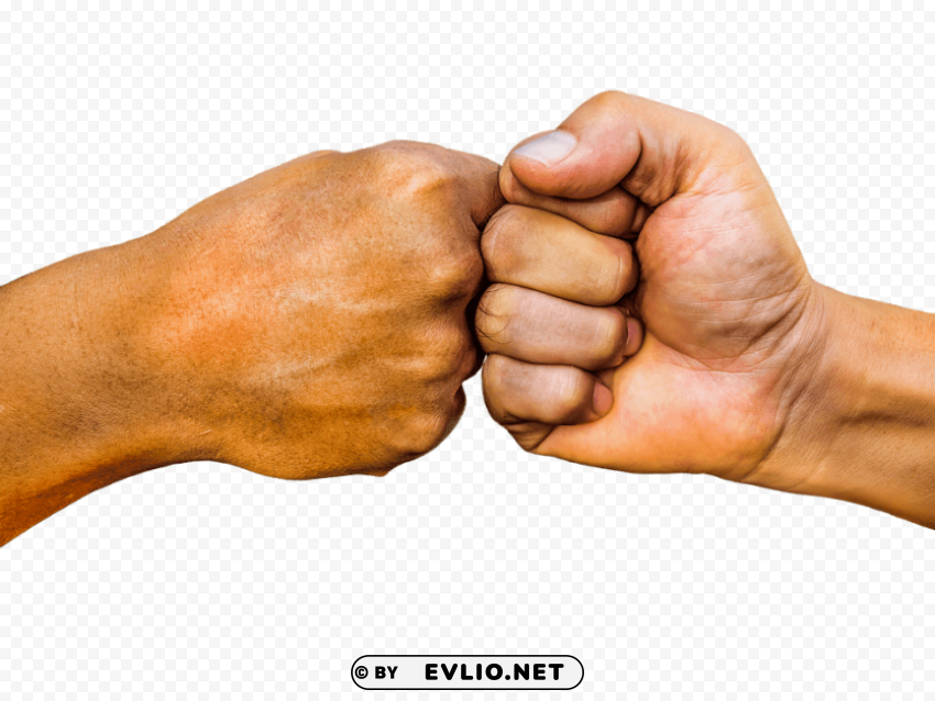 punch to punch PNG Graphic with Clear Background Isolation