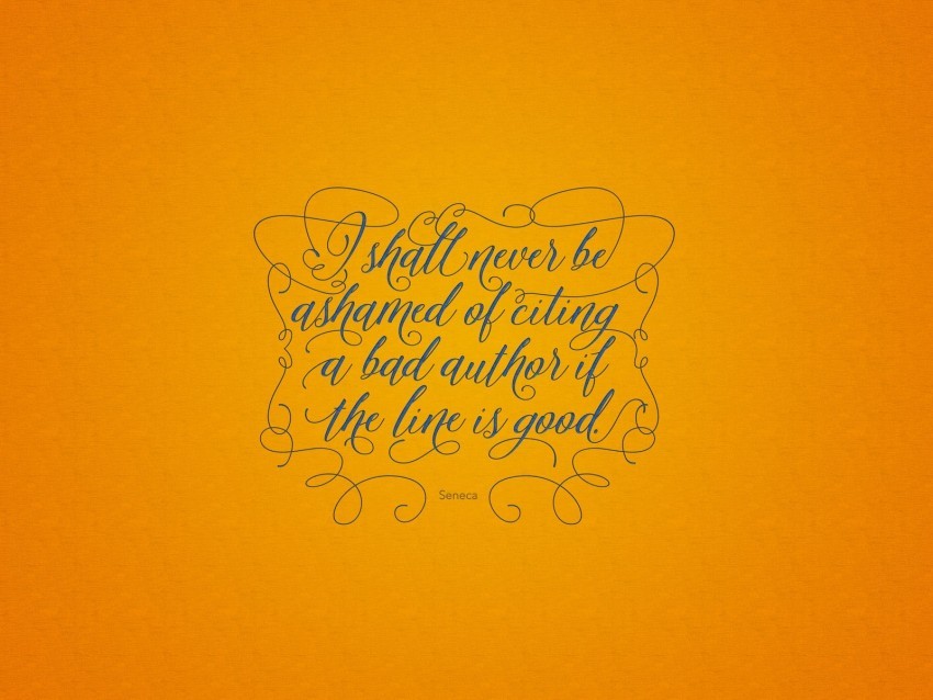 quote text inscription phrase orange Transparent picture PNG